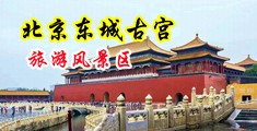 轮奸操逼好爽好舒服视频中国北京-东城古宫旅游风景区